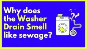 Why does the washer drum smell like sewage