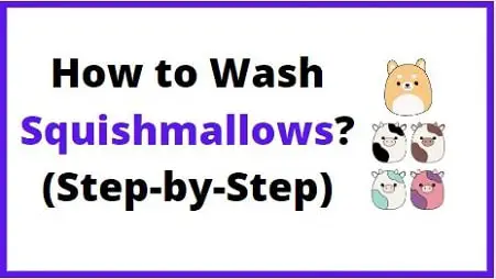 How to wash Squishmallows