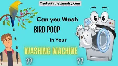Can you wash bird poop in your washing machine