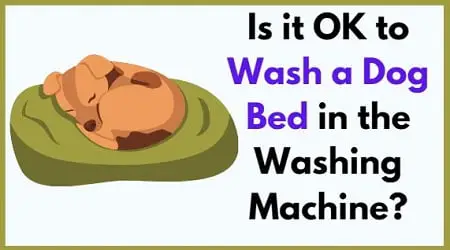 Is it ok to wash a dog bed in the washing machine