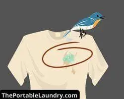 bird pooping on shirt