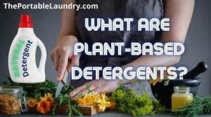 what are plant based detergents