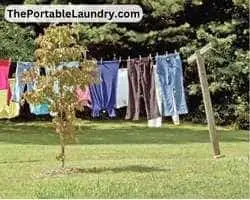 fix clothesline in garden area