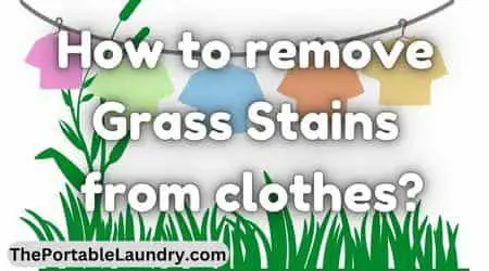remove Grass Stains from clothes