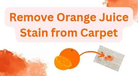 remove orange juice stain from carpet