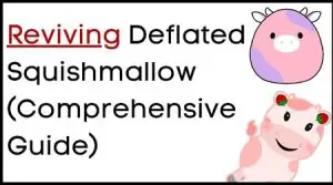 reviving deflated squishmallow