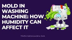 How humidity levels in your home can affect mold growth in washing machines
