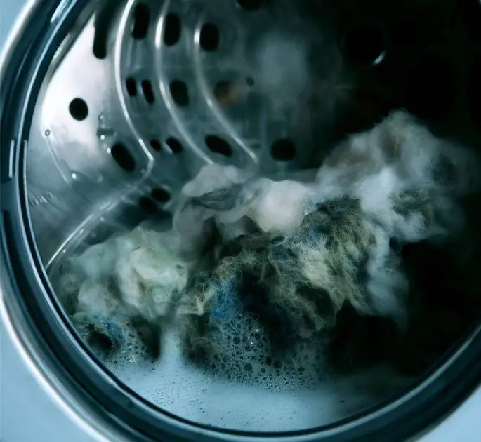 mold risks in washing machine