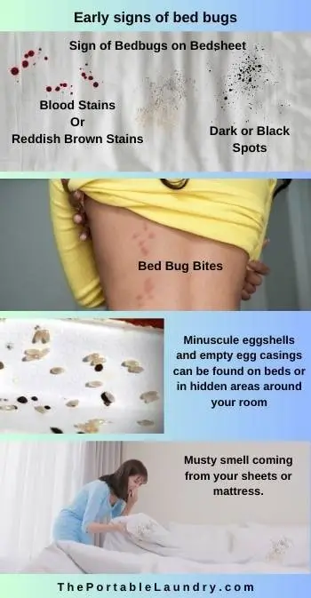 early signs of bed bug