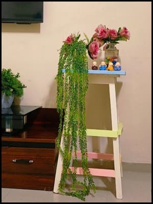 Finished project is placed in living room