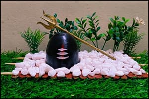 Snapshot of completed project for Mahashivratri (DIY Shivling - home decor)