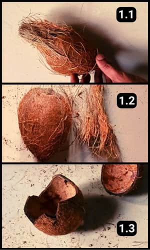 Step 1 - Breaking The Coconut