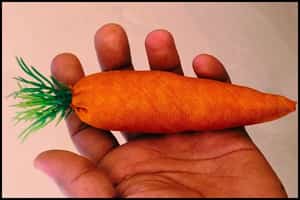 Step 7.1 - Finished carrot looks like this