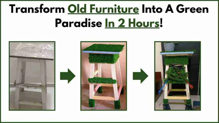 Transform Old Furniture Into A Green Paradise In 2 Hours