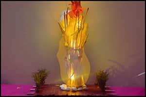 Holika Dahan finished project looks