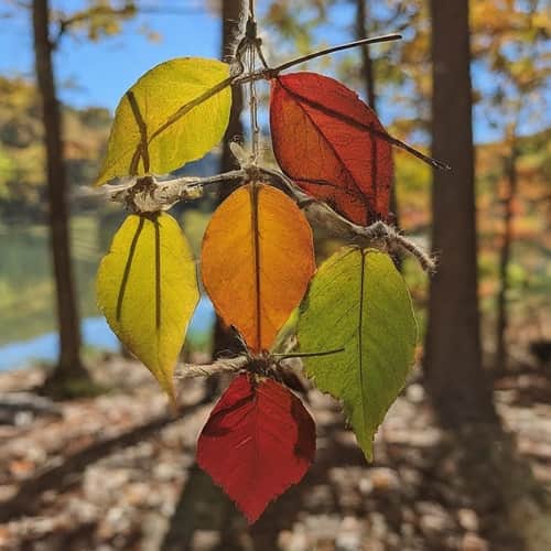 Leaf Mobiles
