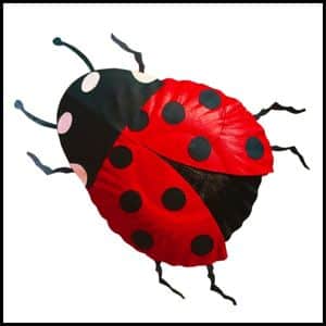 Lifelike Paper Plate Ladybug Craft (Completed Project)