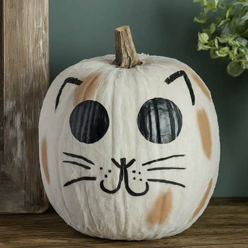 Mummy Cat Pumpkin