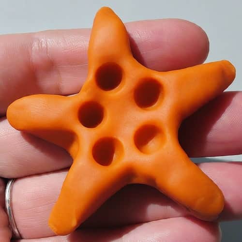 Squeezy Playdough Starfish