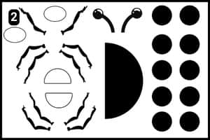Step 2 - Downloading The Ladybug Template