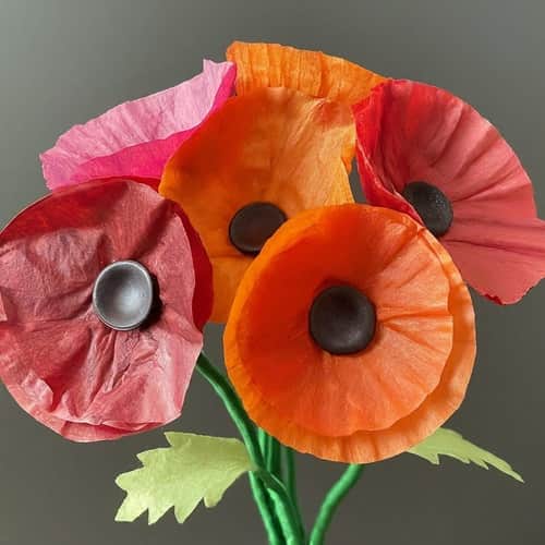 Bouncy Coffee Filter Poppies