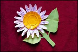 Paper Plate Daisy Flower Craft for kids (Completed Project)