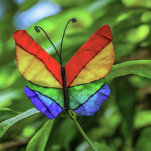 Stained Glass Coffee Filter Butterfly