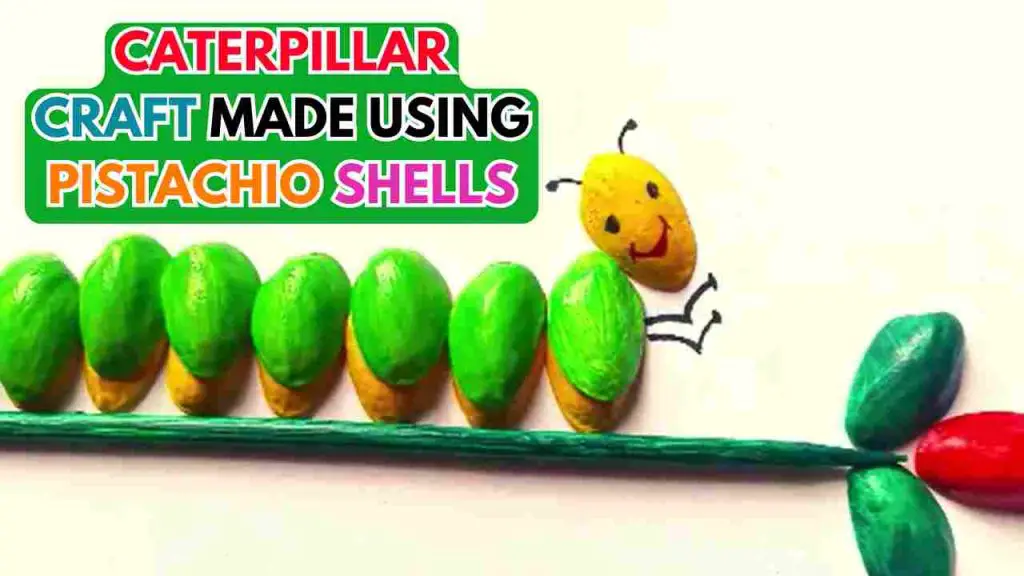 Caterpillar Craft Made Using Pistachio Shells