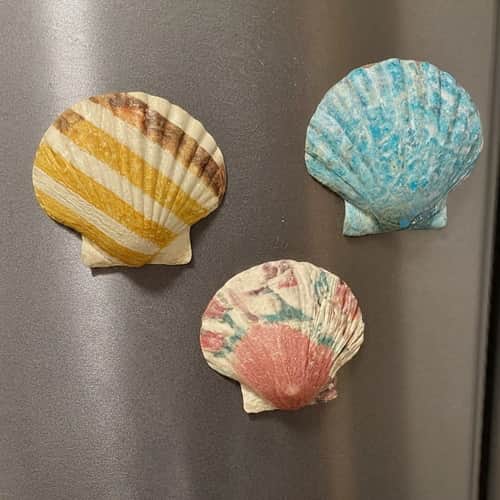 Decoupaged Seashell Magnets