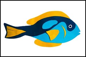 Paper Dory Fish Craft for Kids (Completed Project)