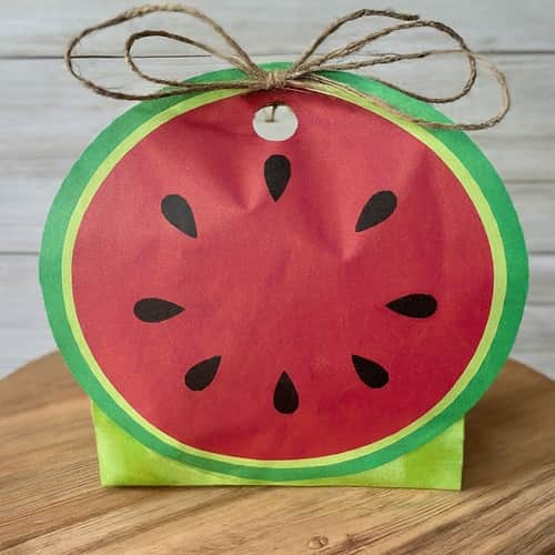 Watermelon gift bags for summer treats