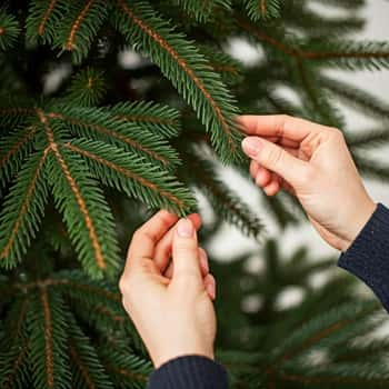 Fluffing the Tree