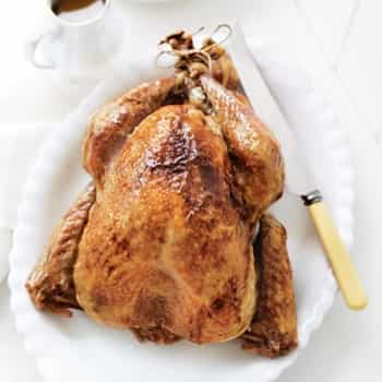 Roast Turkey with Cranberry Stuffing