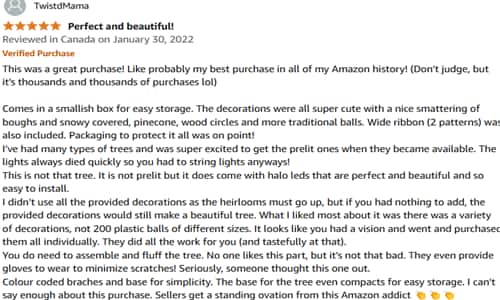 White christmas tree - reviews 2