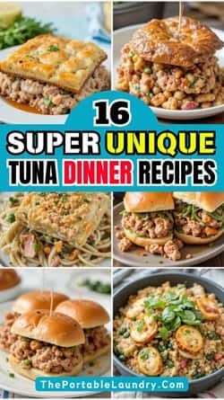 16 Tuna Dinner Recipes That You Need to Try Tonight-completed