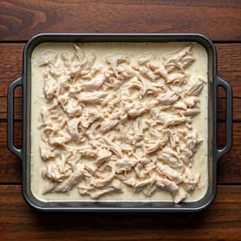 shredded chicken spread evenly