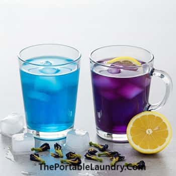 13. Blue Butterfly Pea Flower Magic