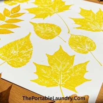 1. Leaf Rubbing Art