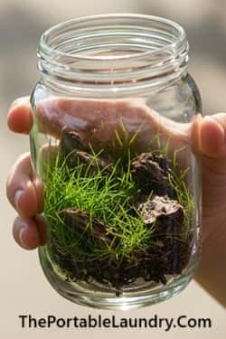 10. Bug Hotel in a Jar