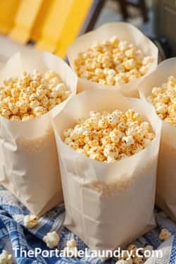 11. Popcorn Snack Bags