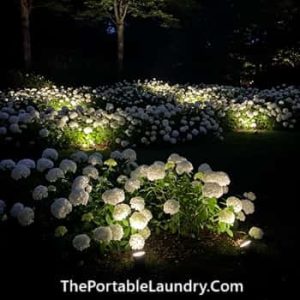 14 Breathtaking White Garden Ideas That Brightens The Mood