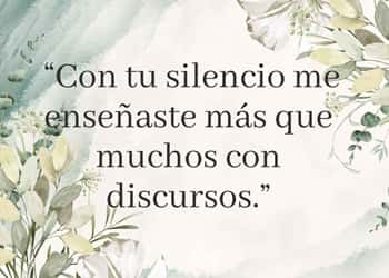 “Con tu silencio me enseñaste más que muchos con discursos.”