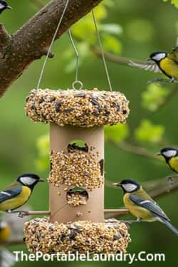 3. DIY Bird Feeders (Peanut-Free Option)