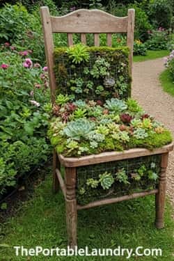 4. Repurposed Chair Succulent Throne