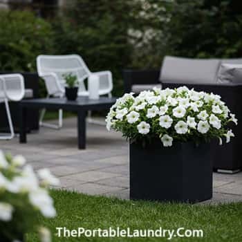 6. Dark Containers Spotlight White Blossoms
