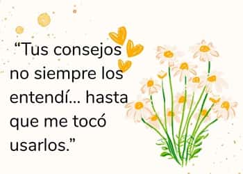 “Tus consejos no siempre los entendí… hasta que me tocó usarlos.”