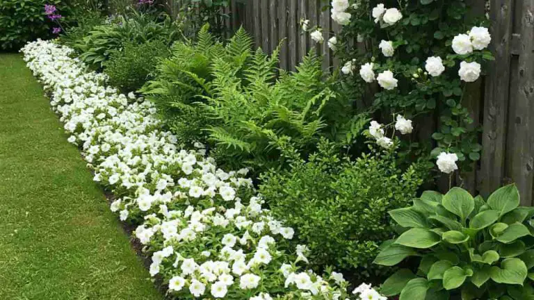 green and white garden ideas