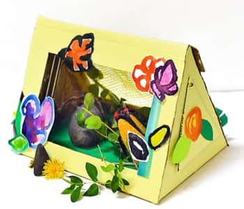 3. Bug-Friendly Observation Box With a Door
