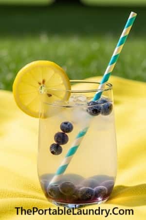6. Blueberry Coconut Electrolyte Refresher