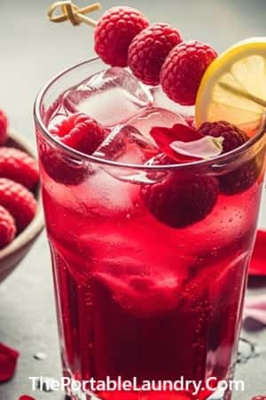 7. Iced Hibiscus Raspberry Cooler